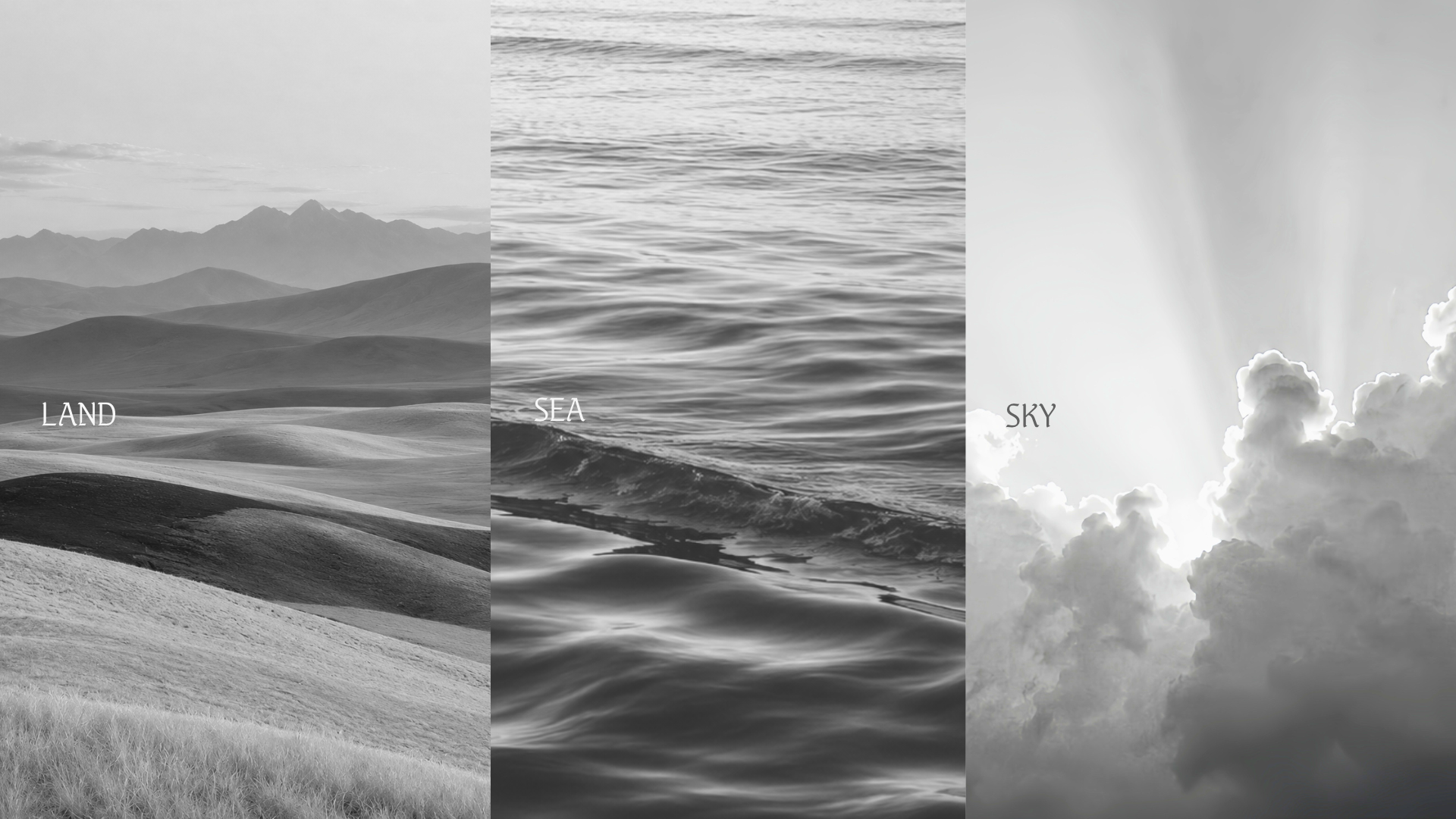LAND, SEA & SKY